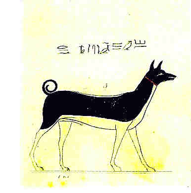 Basenji Hieroglyphics